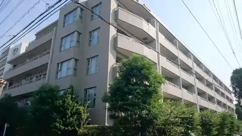 ライオンズ浦和グレイシアヒル