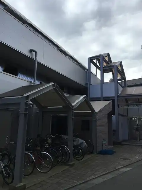 パールタカマツ