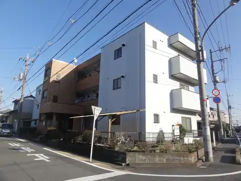 ブリリアンス美女木