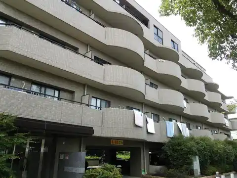 スターリースカイ