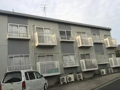 ソルトスワンプ