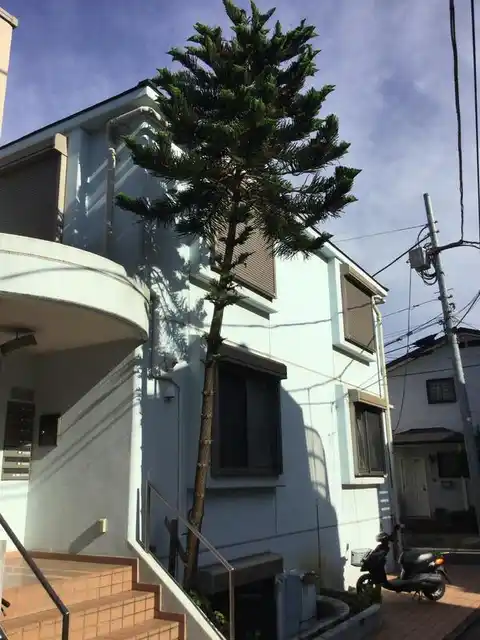 カサソラール
