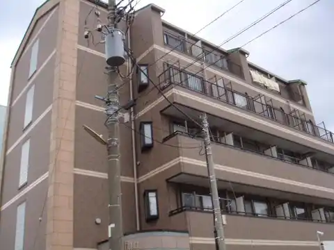 ベリーノ