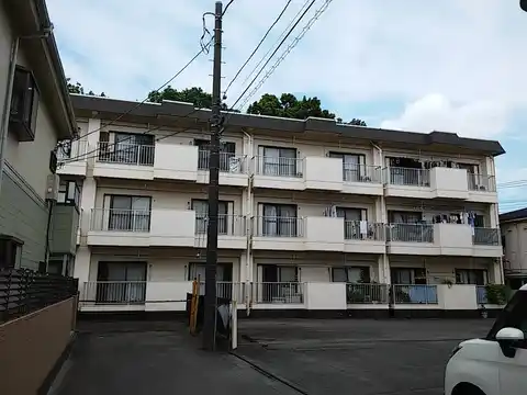第一サンライズマリー