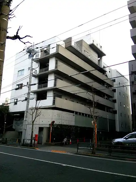 MTコート