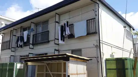 エバグリーン