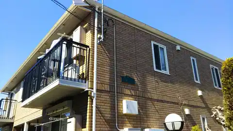 IZSG バンクシアエ・ルテア
