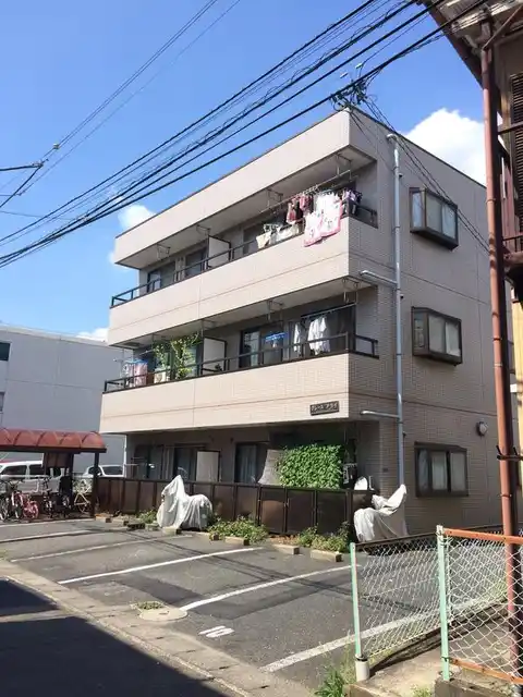 グレースアライ