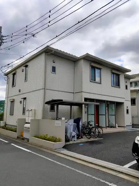 サンルピナス2