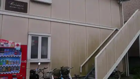 コスモス