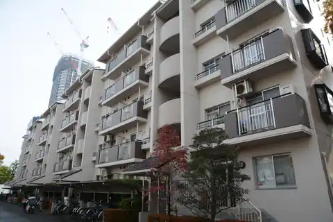 小杉御殿団地5号棟