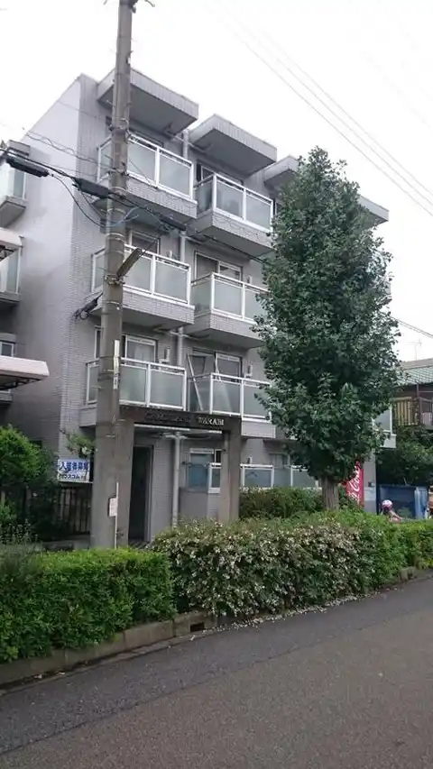 グレースランド・ワラビ
