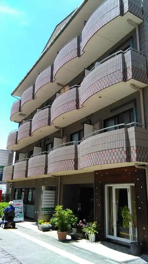 カタバミメイン