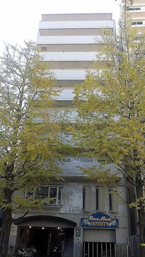 Silk Avenue Ⅱ