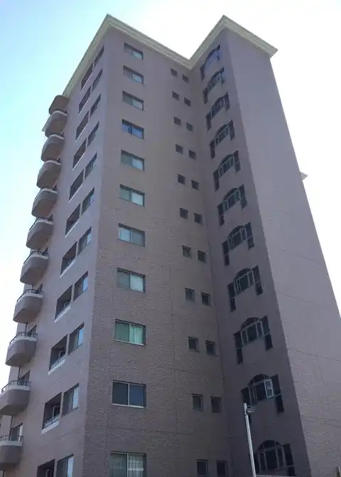 ボナールT
