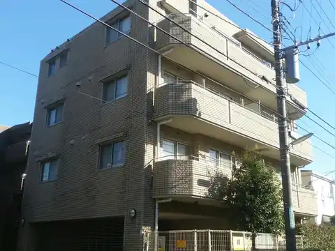 ブラッサム