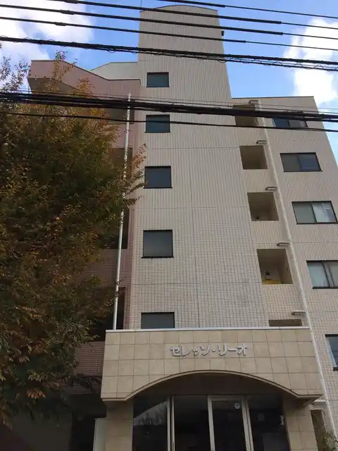 セレッソリーオ