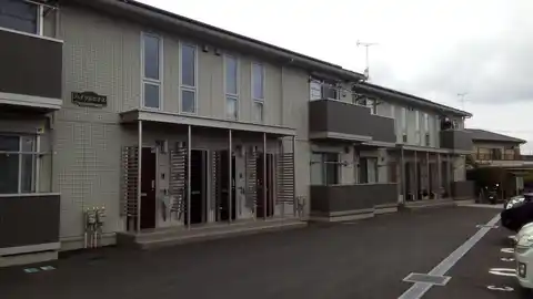 ハイツルピナス