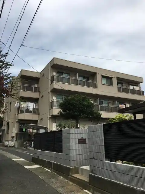 チェスナット プレイン