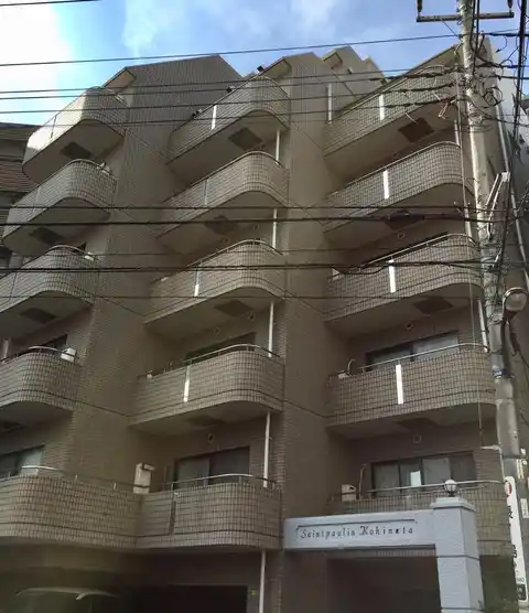 セントポーリアコヒナタ