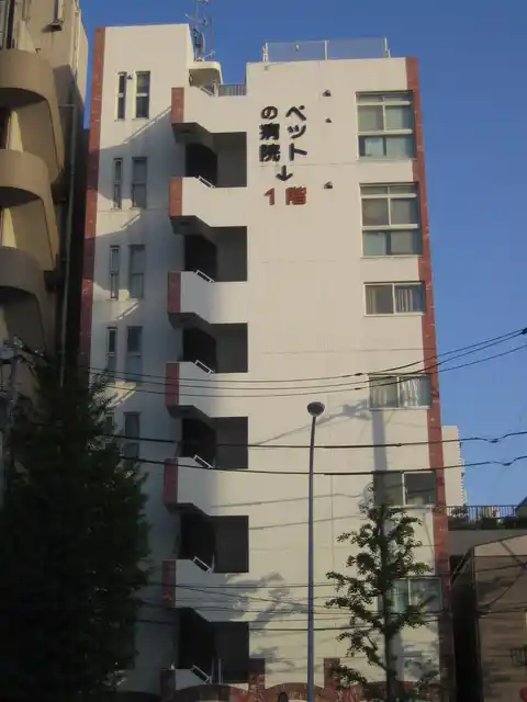 アネシスK