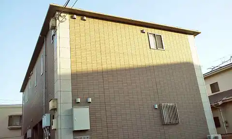 セルリオコーポ