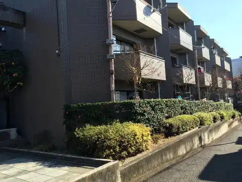 チェリーコート