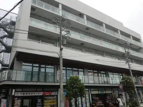 ステラ湘南