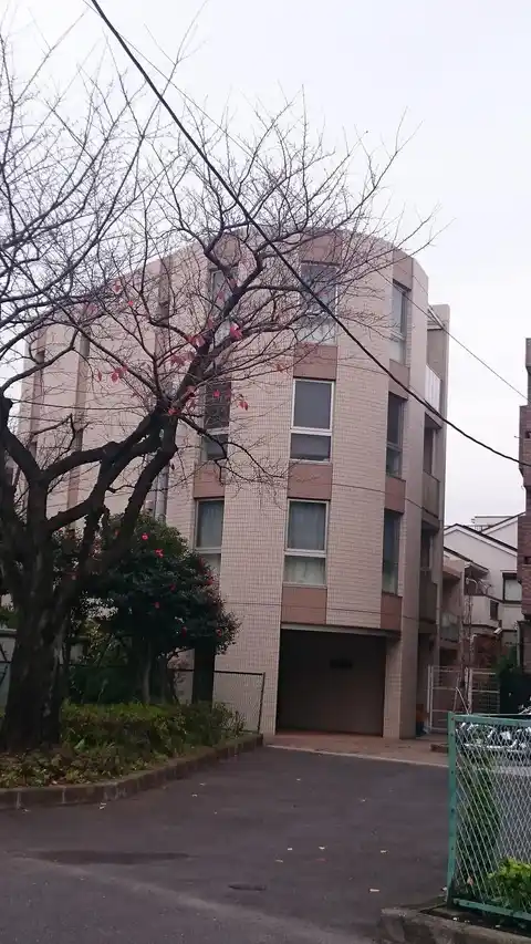 コンフォート和