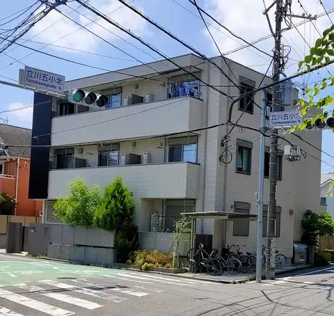 シャインフォレスト
