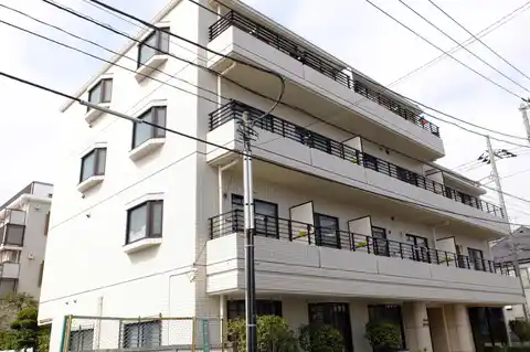 リーフレットムカサ