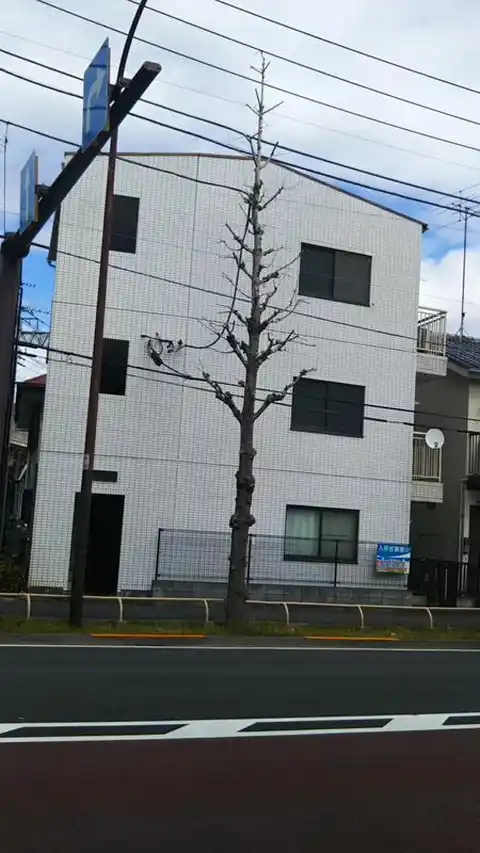 パークハウス多摩川