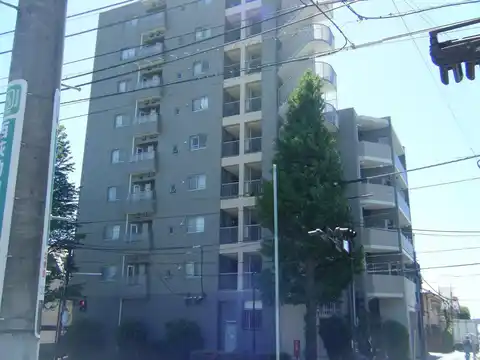 コンフレックス善福寺公園