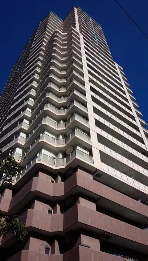 ライオンズタワー大島