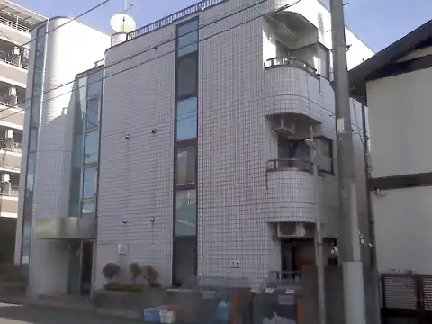 ニューサウス