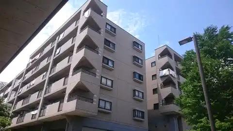 アコールドブルー