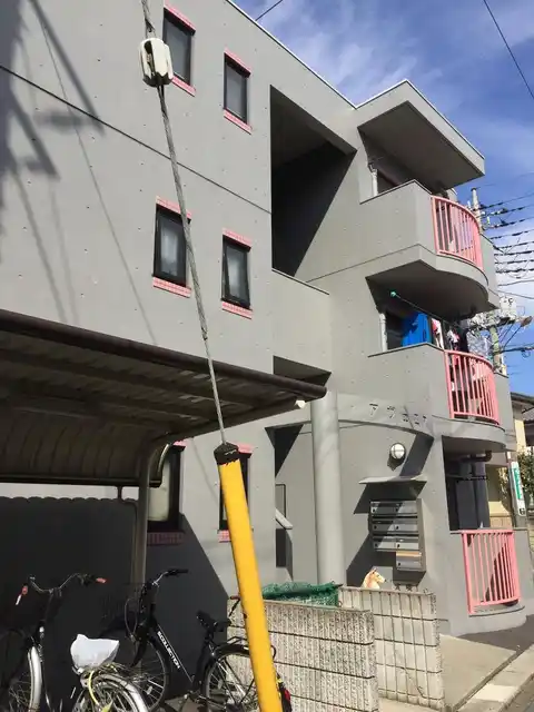 アヴェニア