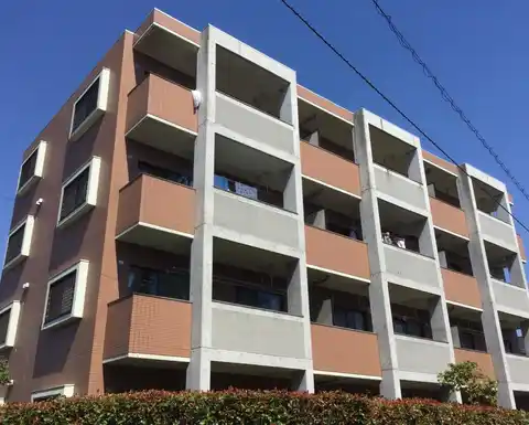 イーストパイン