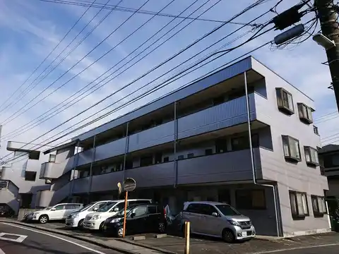 フローラキクD