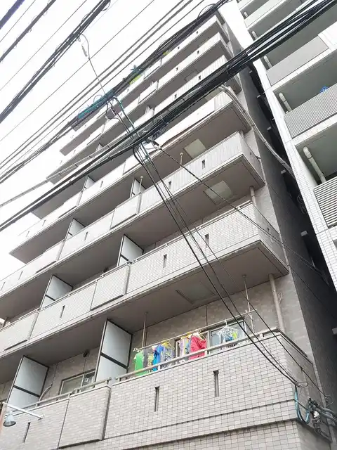 ピアコート