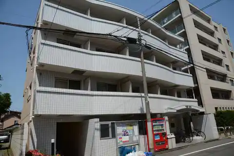 TOP矢向