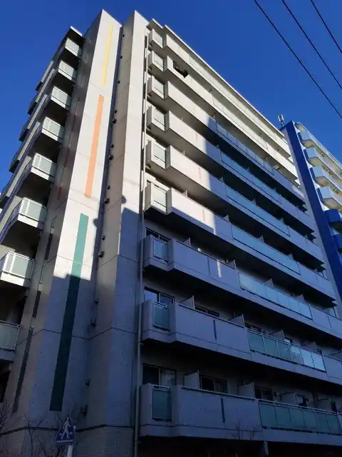 ドールマウスファイン