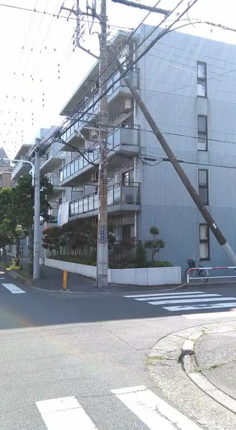 デュアルコーポ岡善