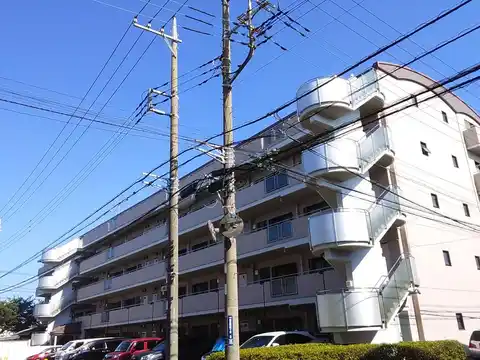 アルファ大和
