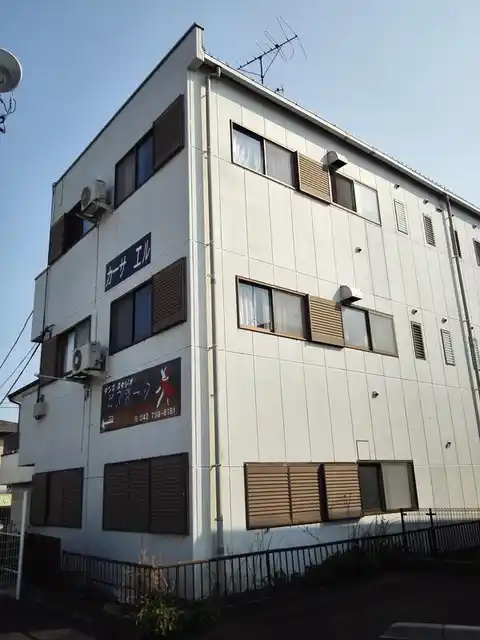 カーサエルスール