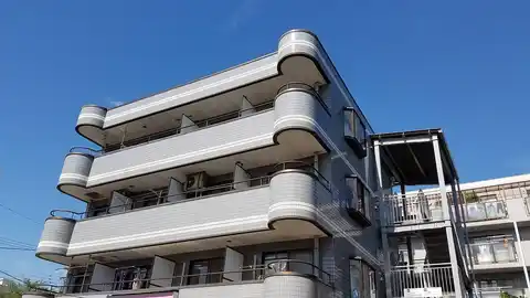 イワオアネックス
