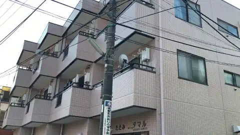ハイムタマル