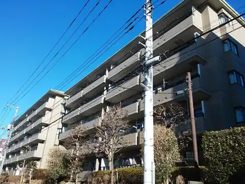 グレース代官3