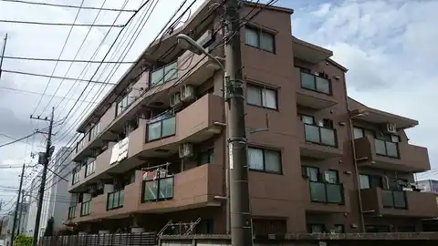シェルコート