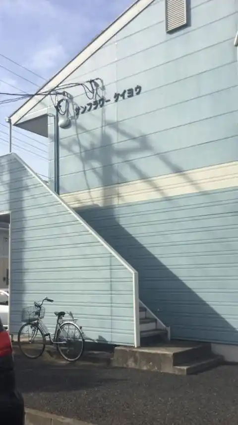 サンフラワーケイヨウ